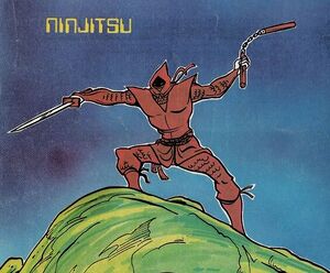 Ninjitsu.jpg