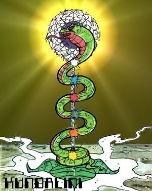 Serpiente-Kundalini.jpg